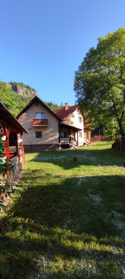 Olt-Part Vendeghaz Hotel BaileTusnad Buitenkant foto