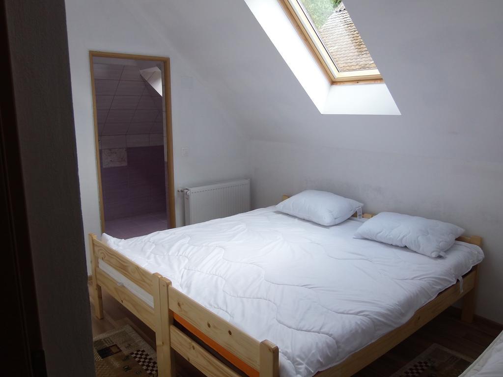 Olt-Part Vendeghaz Hotel BaileTusnad Buitenkant foto