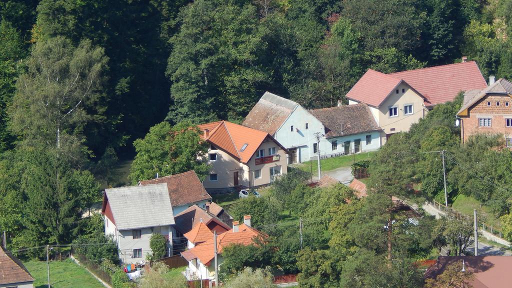 Olt-Part Vendeghaz Hotel BaileTusnad Buitenkant foto